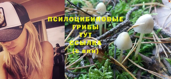 первитин Дмитриев