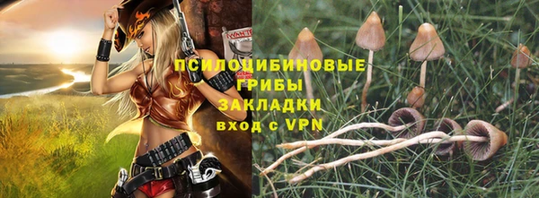 прущие крисы Дмитров
