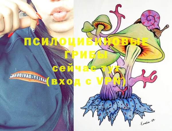 прущие крисы Дмитров