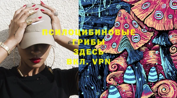прущие крисы Дмитров